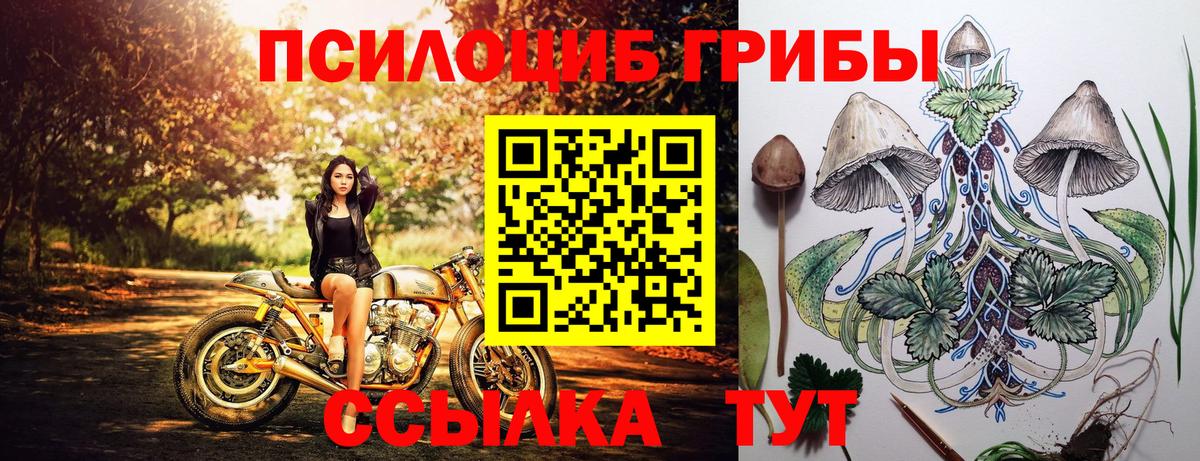 Псилоцибиновые грибы Cubensis  хочу наркоту  Псилоцибиновые грибы Psilocybe  Иваново  Вход с VPN 