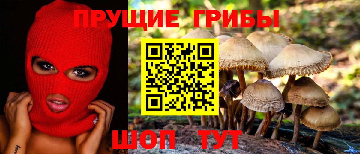 Псилоцибиновые грибы Psilocybine cubensis Иваново