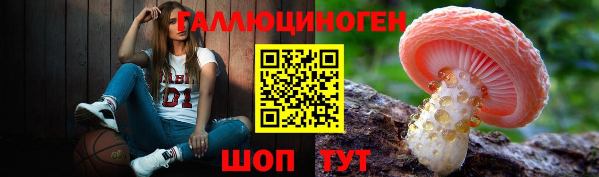 ГАШ  Канабис  Иваново  MDMA  Вход с VPN  Меф МЯУ МЯУ  